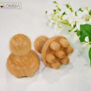 Champiñón Curvo